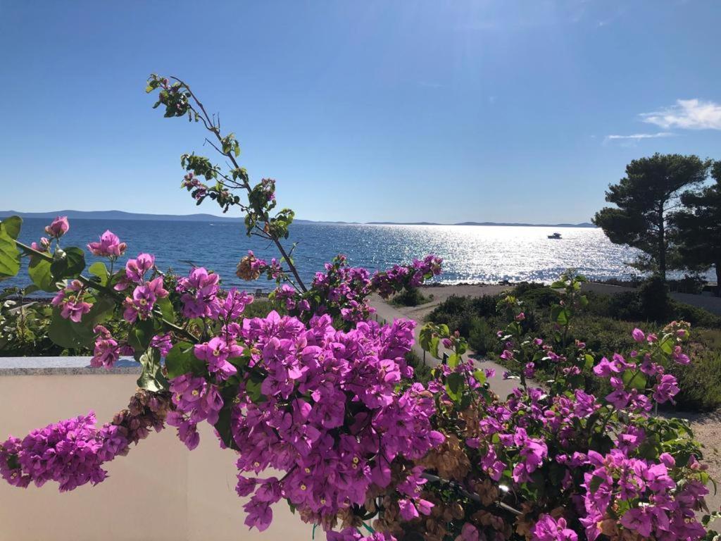 Mirakul Apartments Vir Εξωτερικό φωτογραφία