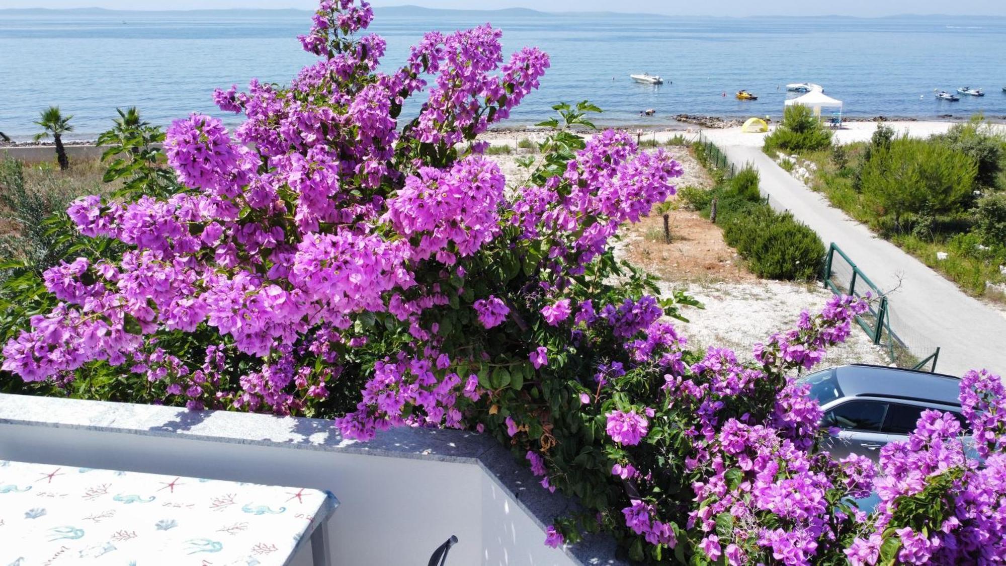 Mirakul Apartments Vir Εξωτερικό φωτογραφία